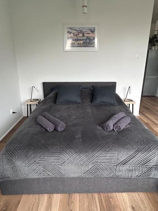 Apartament Stary Stettin Exterior foto